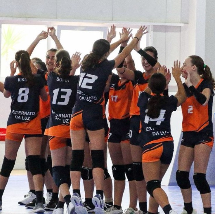 voleibol